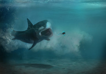photomontage attaque de requin